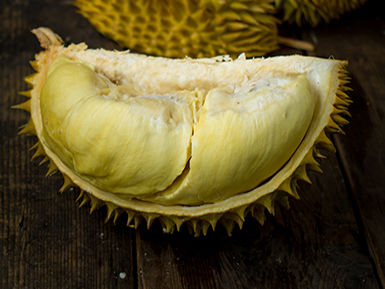 九游游戏官网基地展示二